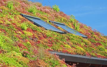 Kings Newton living roof systems